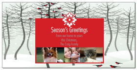 Caroling Christmas Birds Cards with multiple photo 8
